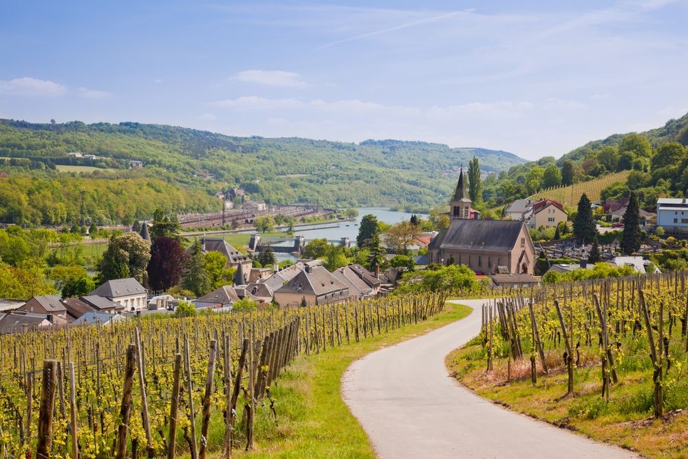 Vélo le long de la Moselle
